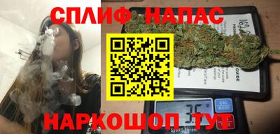 тгк Партизанск