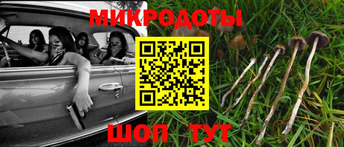 Псилоцибиновые грибы Cubensis  Вход с VPN  Рославль 
