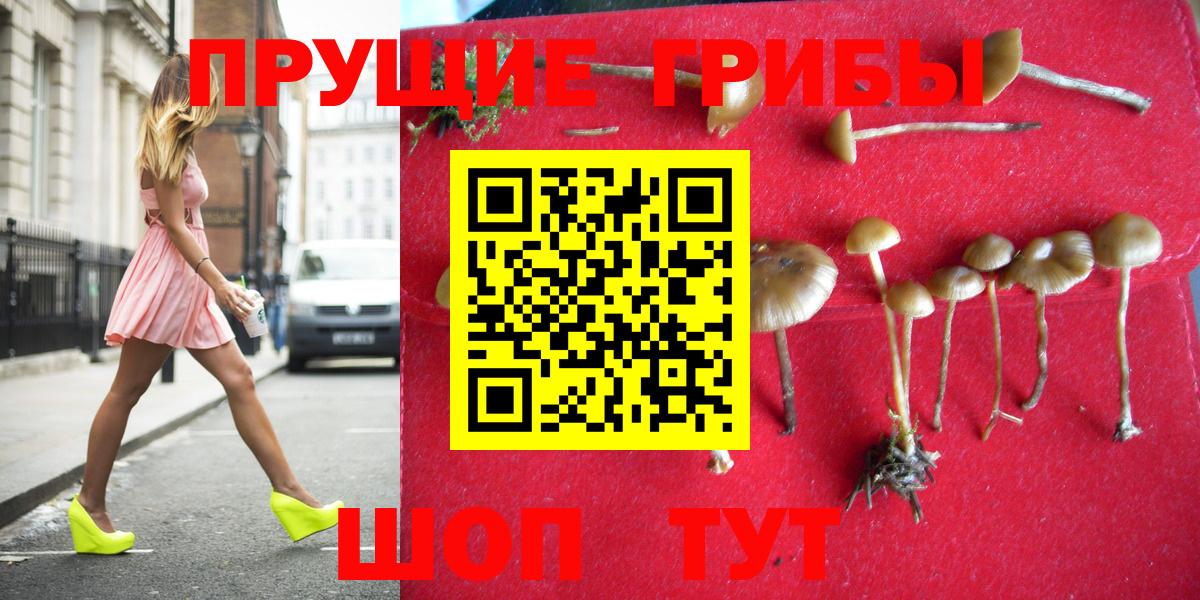 Псилоцибиновые грибы прущие грибы Рославль